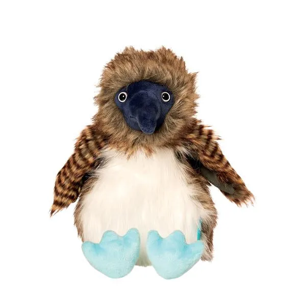 Benny The Blue Footed Boobie