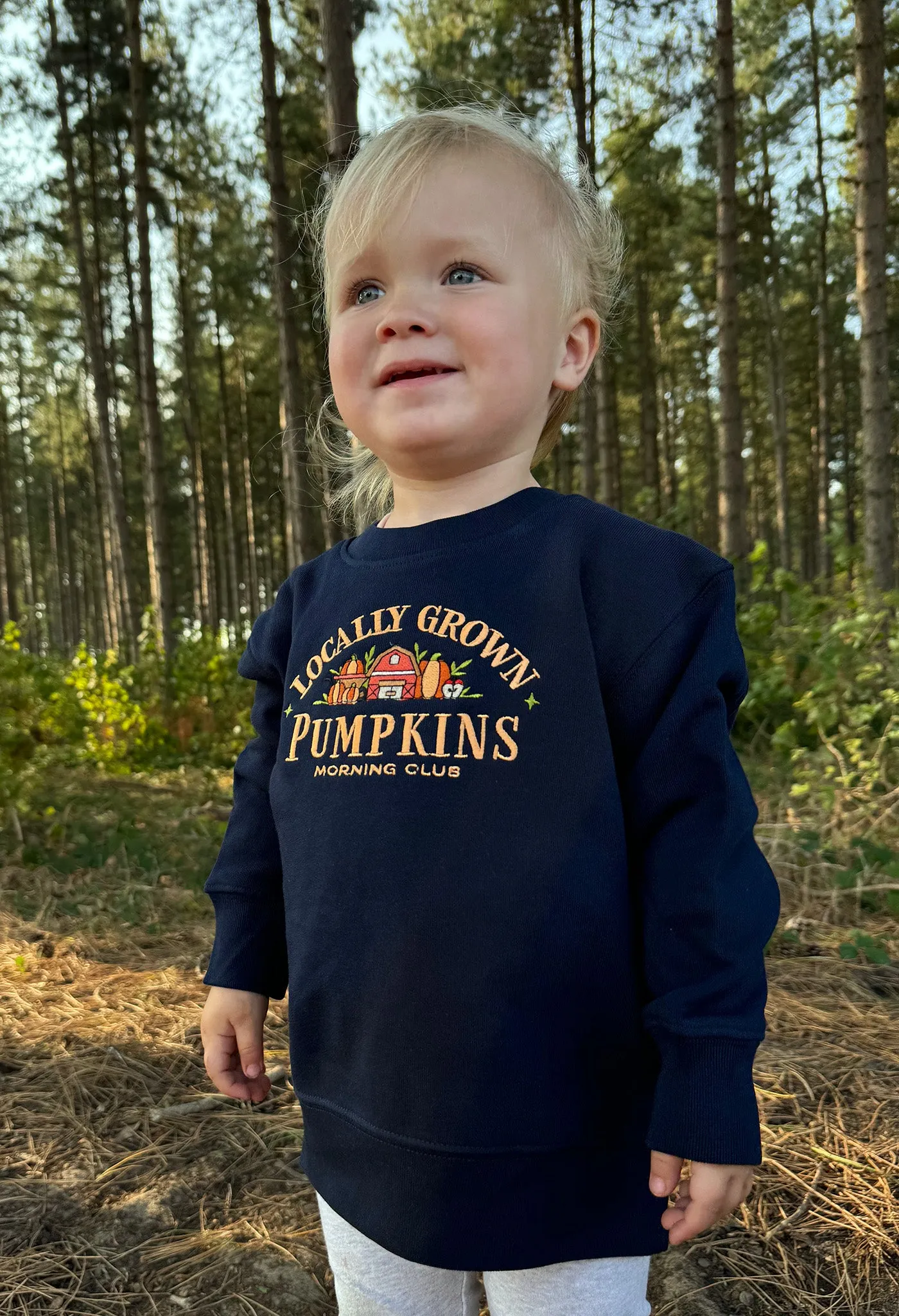 Pumpkins Embroidered Organic Cotton Childrens Sweatshirt